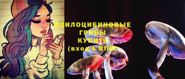 винт Медвежьегорск