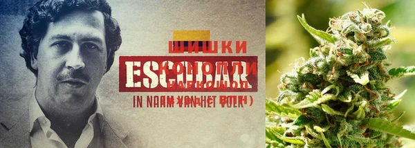 стафф Мегион